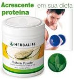 Protein Powder